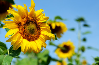 Similar image 765246