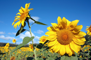 Similar image 765248