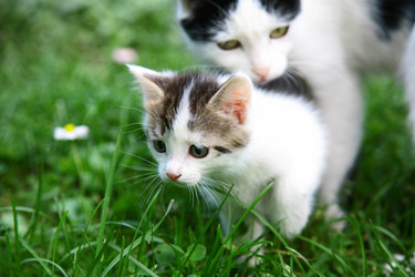 Similar image 765280