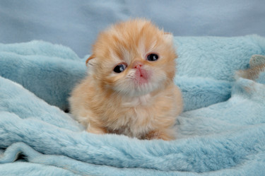 Similar image 765285