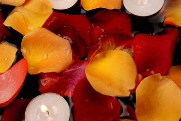 Similar image 765291