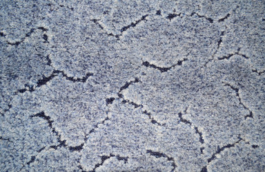 Similar image 765524