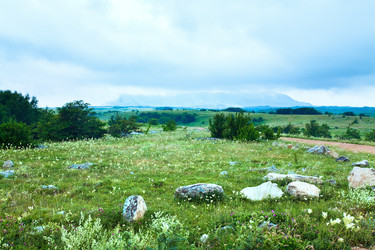 Similar image 765526