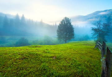 Similar image 765529