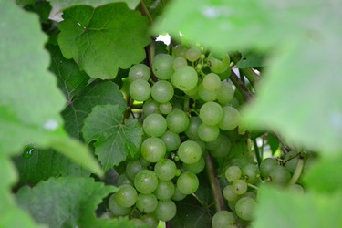 Similar image 765534