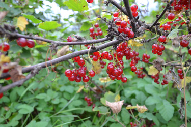 Similar image 765535