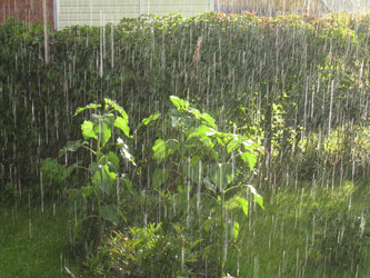 Similar image 765565