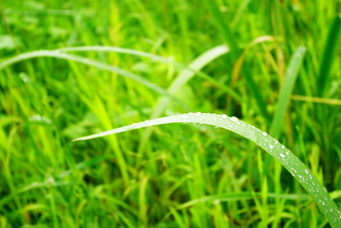 Similar image 765567