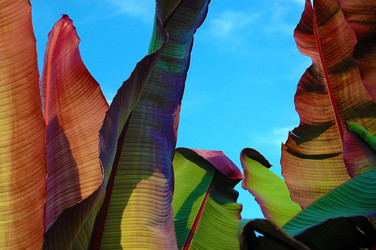 Similar image 765676