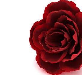 Similar image 765742