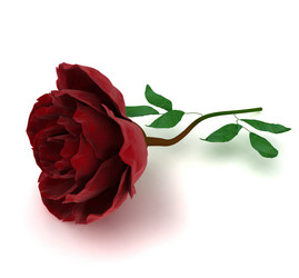 Similar image 765767