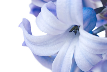 Similar image 765820