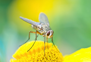 Similar image 765834