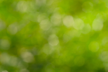 Similar image 765836