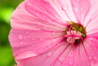 Similar image 765861