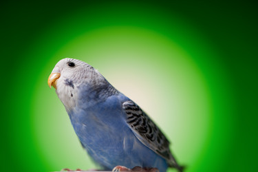 Similar image 765875