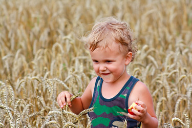 Similar image 765878