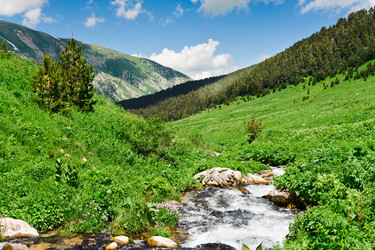 Similar image 765879