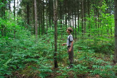 Similar image 765880