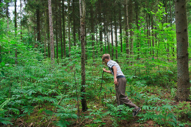 Similar image 765881