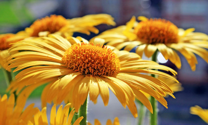 Similar image 765886