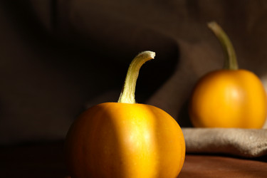 Similar image 765893