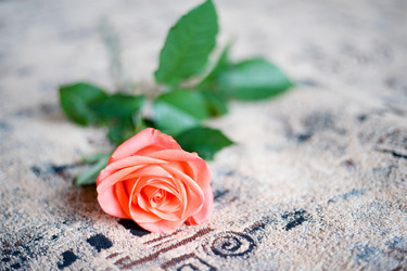 Similar image 765908