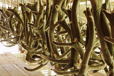 Similar image 765916