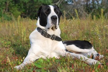 Similar image 765925