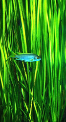 Similar image 765935