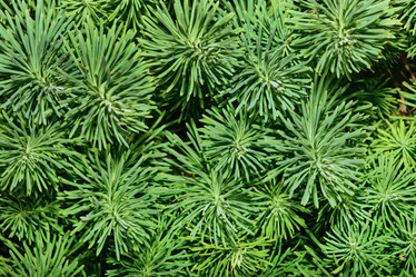 Similar image 765967