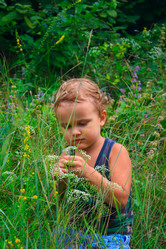 Similar image 766062