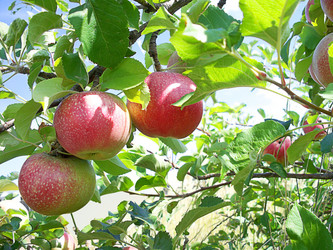 Similar image 766067