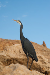 Similar image 766182