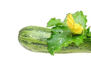 Similar image 766191