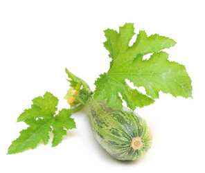 Similar image 766195