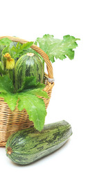 Similar image 766203