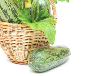 Similar image 766204