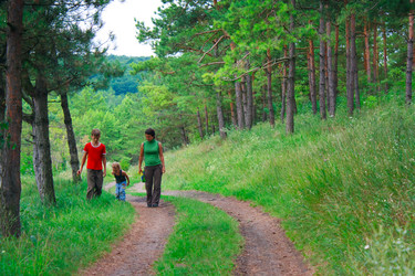 Similar image 766358