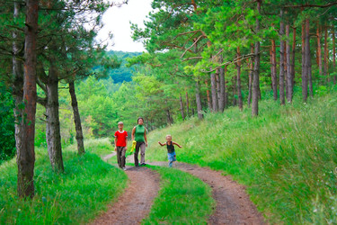 Similar image 766362