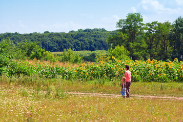 Similar image 766366