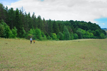 Similar image 766369