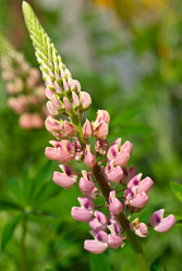 Similar image 766396