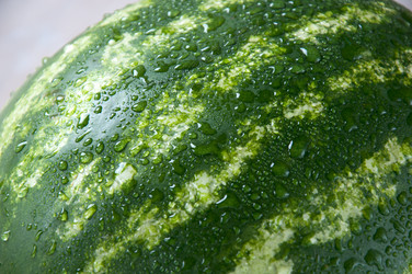 Similar image 766507