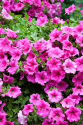 Similar image 766510