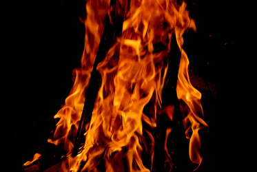 Similar image 766525