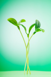 Similar image 766531