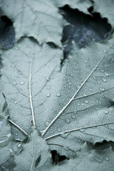 Similar image 766537