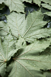 Similar image 766538