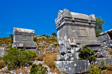 Similar image 766545